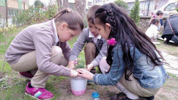 Şehit Kaymakam Rahmi Bey İlkokulu - Okulumuz Çiçek Açıyor